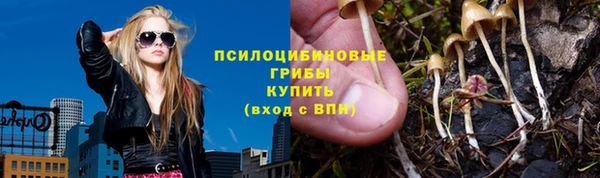 ПСИЛОЦИБИНОВЫЕ ГРИБЫ Киренск