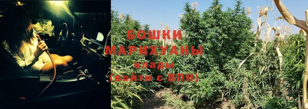 ПСИЛОЦИБИНОВЫЕ ГРИБЫ Киренск