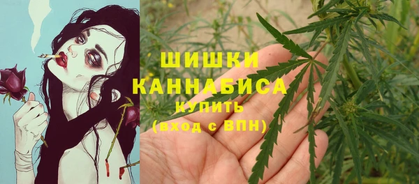 ПСИЛОЦИБИНОВЫЕ ГРИБЫ Киренск