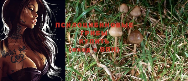 кокаин премиум Козловка