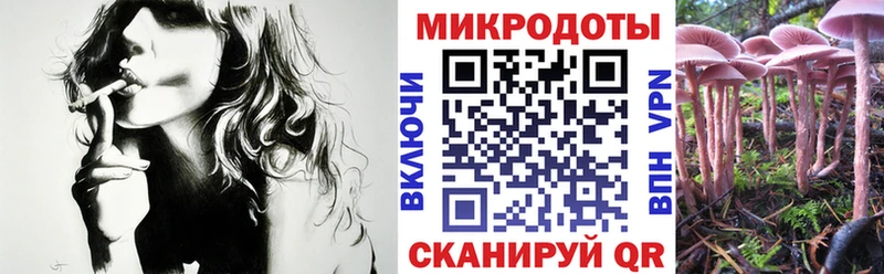 купить  сайты  МЕГА маркетплейс  Псилоцибиновые грибы GOLDEN TEACHER  Кириллов 